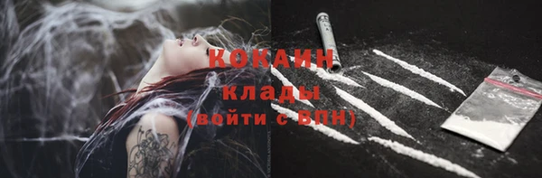 шишки Семёнов