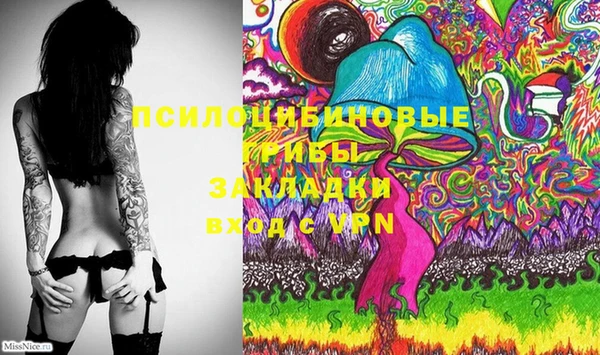 дмт Алексин