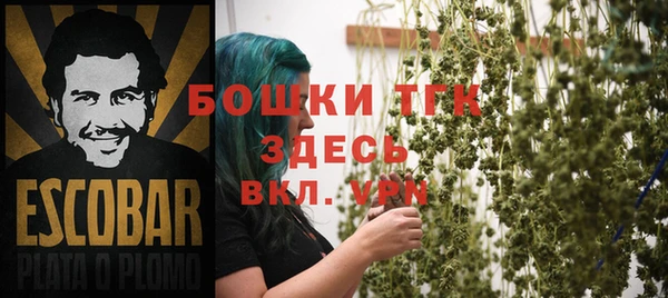 PSILOCYBIN Алексеевка