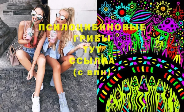 PSILOCYBIN Алексеевка