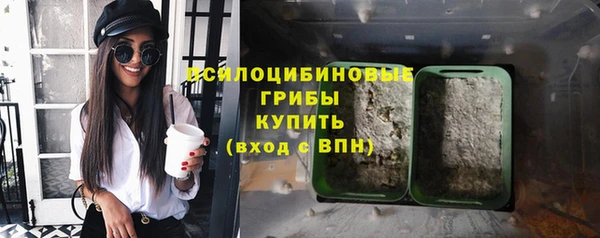 гидра Алзамай