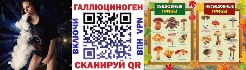 Псилоцибиновые грибы Psilocybine cubensis Бирюч