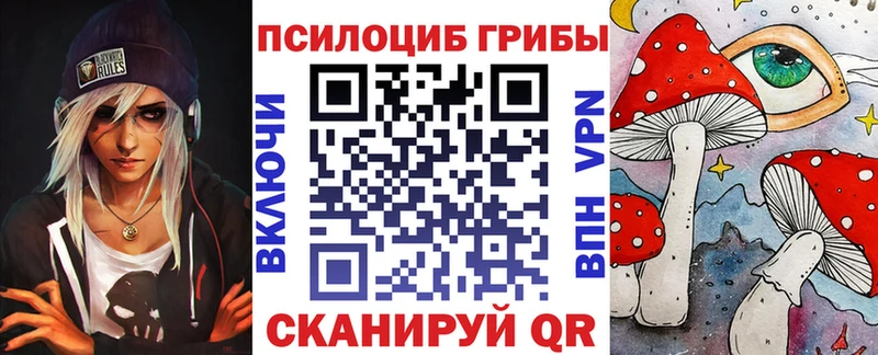 Псилоцибиновые грибы MAGIC MUSHROOMS  купить наркоту  Бирюч 
